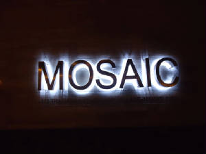 mosaic_p20_dsc02169.jpg