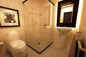 roces_toilet_bathroom.jpg