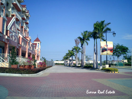 tree-lined-main-road.jpg